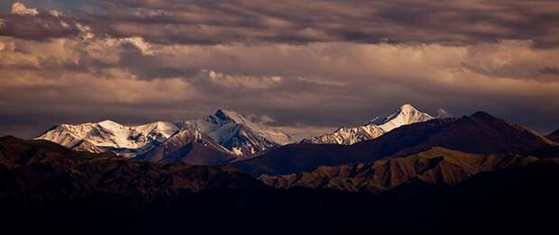 безвизовые страны
