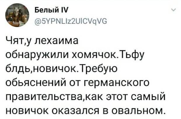 Политические комментарии из инета