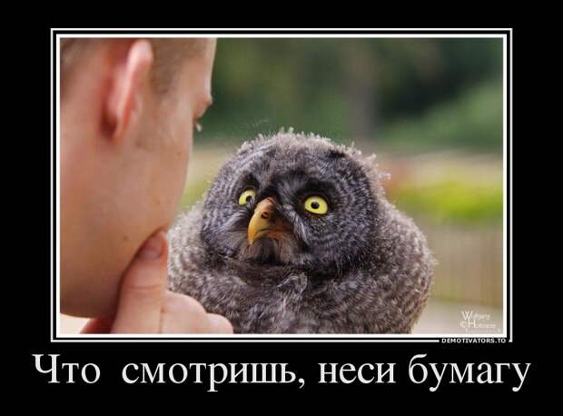 Демотиваторы 