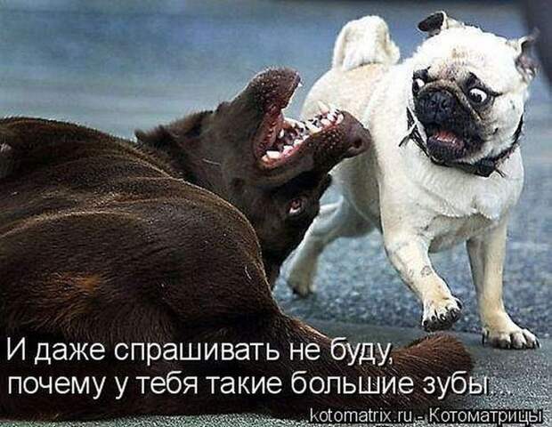 Мысли вслух :)