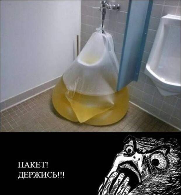 Картинки, юмор, приколы