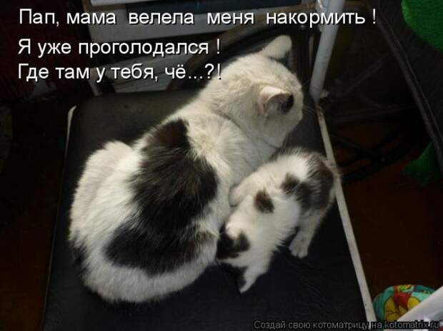 Мысли вслух :)