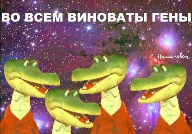 картинки в буквальном смысле слова