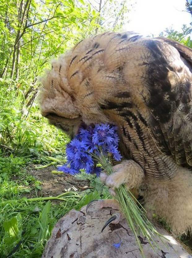 Фотоказусы и фотоприколы 13