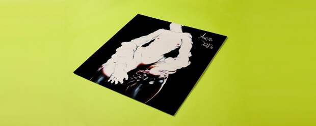 Arca «Xen»