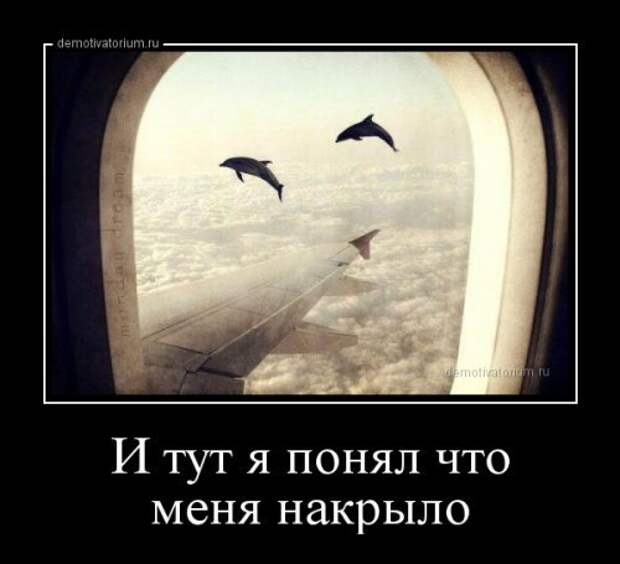 Пост новых демотиваторов для настроения