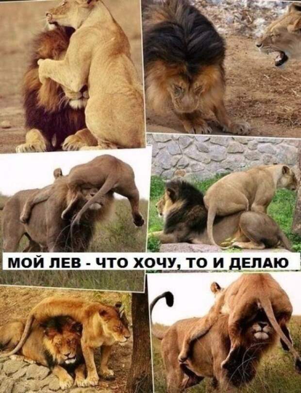 Подборка прикольных фото №1153 (93 фото) Подборка прикольных фото №1153 (93 фото)