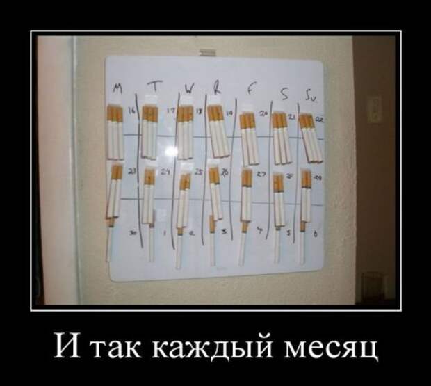 Демотиваторы-приколы (15 шт)