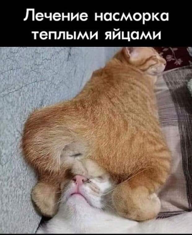 Средство от насморка Средство от насморка