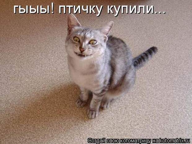 Мысли вслух :)