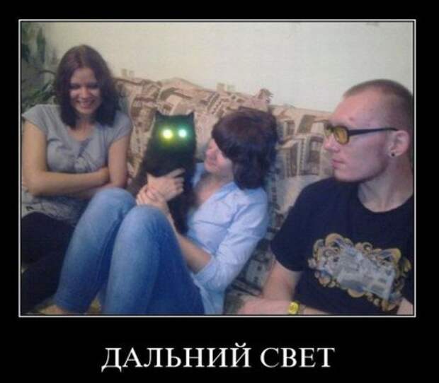 Новейшие демотиваторы все юморные.