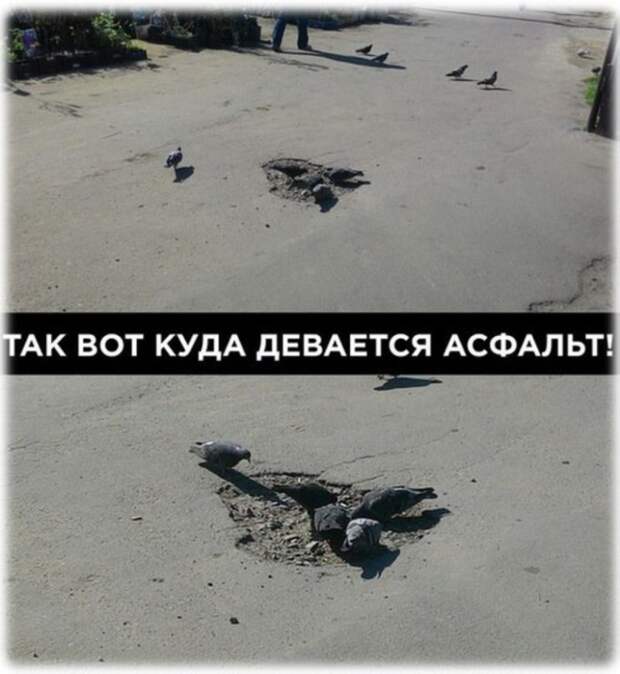 Автоприколы автоприколы, прикол, юмор