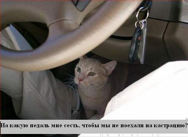 Мысли :) (50мыслей)