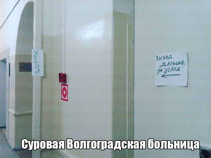 Веселые фото приколы Веселые фото приколы
