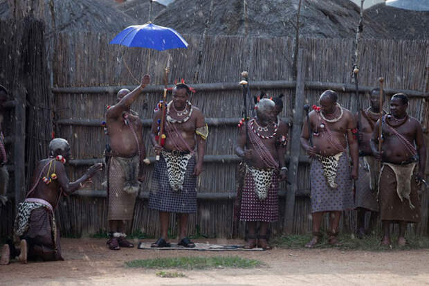 Как король Свазиленда будет выбирать 15-ю жену