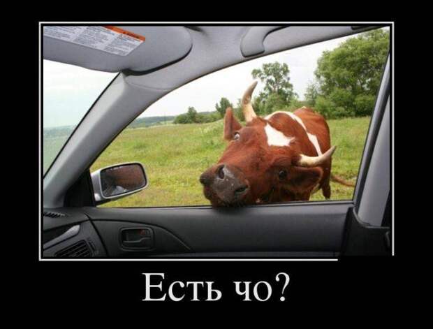 Смешные и прикольные демы (25 фото) Смешные и прикольные демы (25 фото)