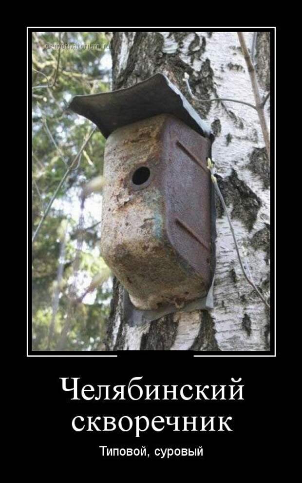 Демотиваторы демотиваторы