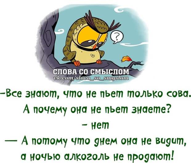 Веселые фразочки для хорошего настроения Веселые фразочки для хорошего настроения