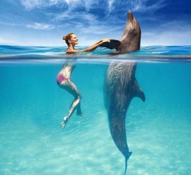 Когда человек и дельфин могут быть на равных.