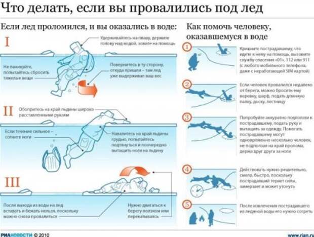 Новогодние инфографики