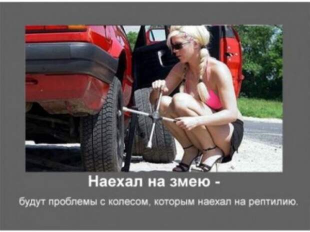 Автомобильные приметы.