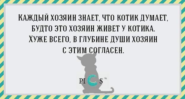 catowner04