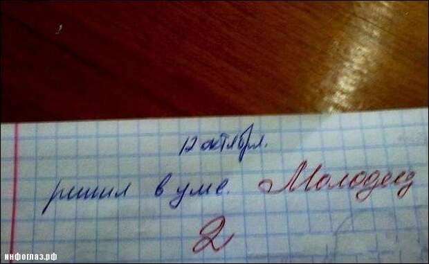 Записи из школьных дневников