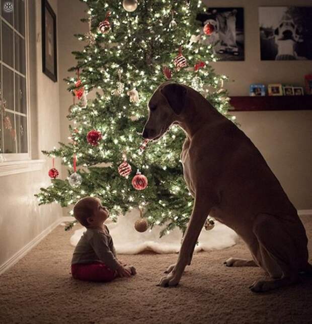 Зверушки и ребятишки 19