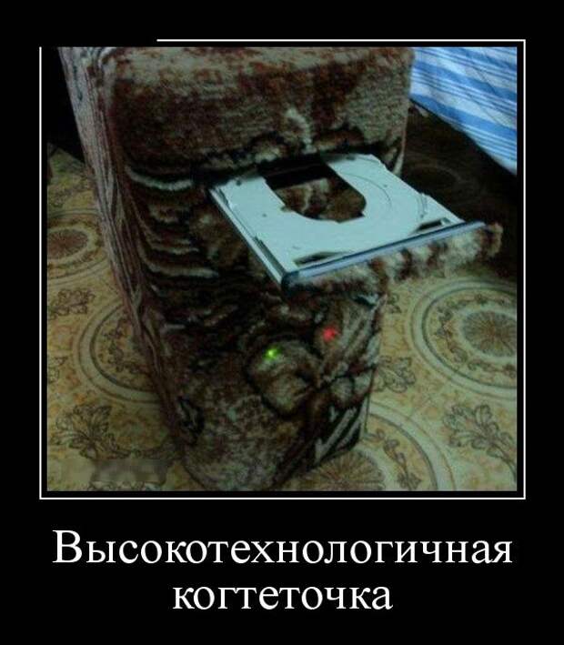Демотиваторы (30 фото)