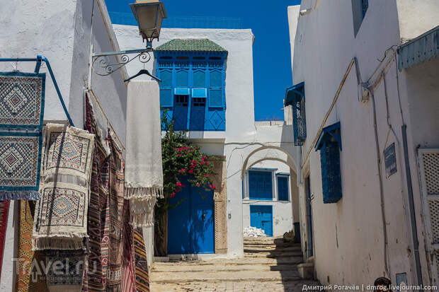 Сиди-бу-Саид: бело-синий "уникальный" / Фото из Туниса