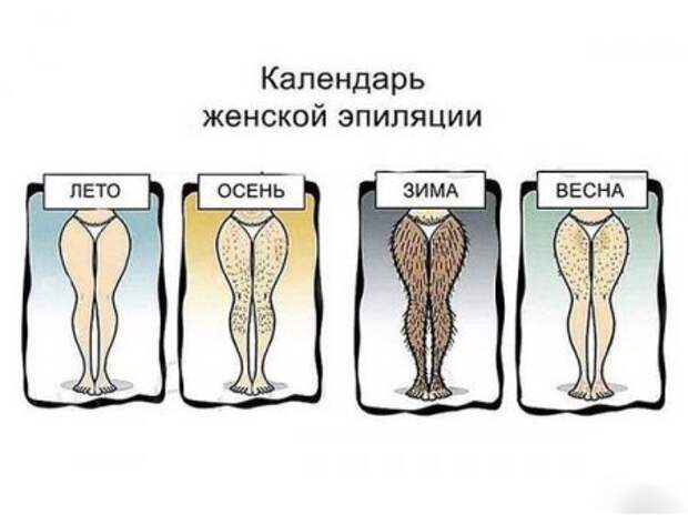 Позитивный день, прикольные фото.