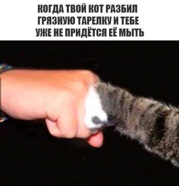 Позитивные и веселые картинки с надписью для веселья (11 фото) Позитивные и веселые картинки с надписью для веселья (11 фото)