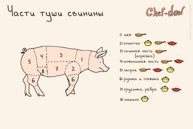 универсальная шпаргалка для кухни 