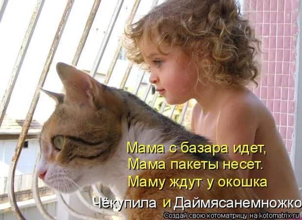 Лучшие котоматрицы недели