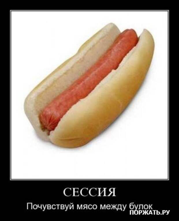 Демотиваторы, юмористические надписи.