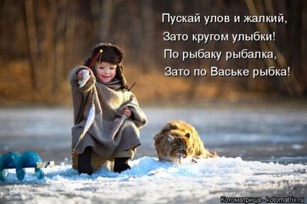 Котоматрица недели (31 фото)