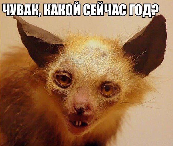 30 фраз в картинках, которые зарядят вас юмором на всю неделю