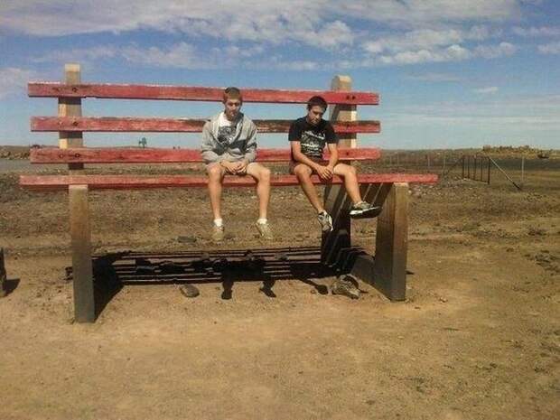 Прикольные картинки
