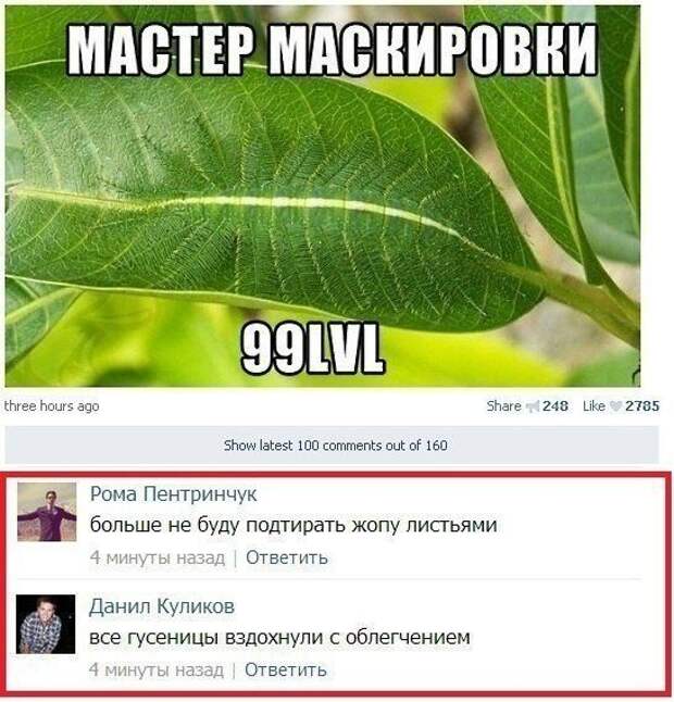 Переписка в социальных сетях