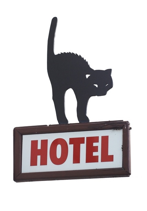 http://www.petinfoclub.com/Images/hotel%20cat%20sign%20cropped%20shutterstock_16482397.jpg