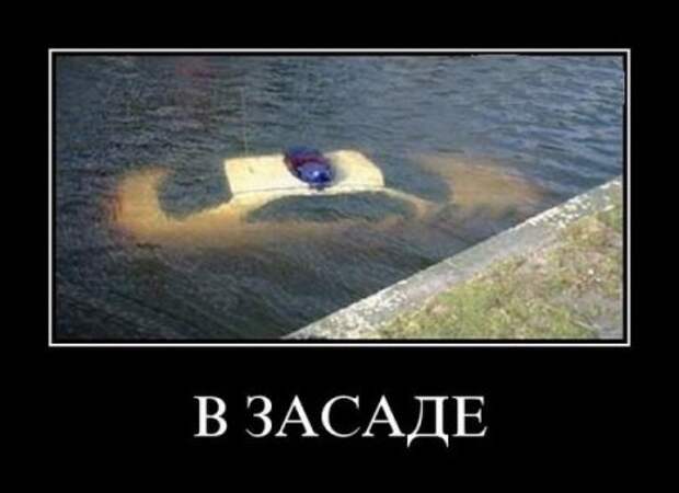 Демотиваторы новые смешные.