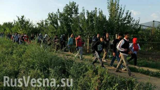 Мэр венгерского города посоветовал мигрантам ехать в Германию через Хорватию и Словению (ВИДЕО)  | Русская весна