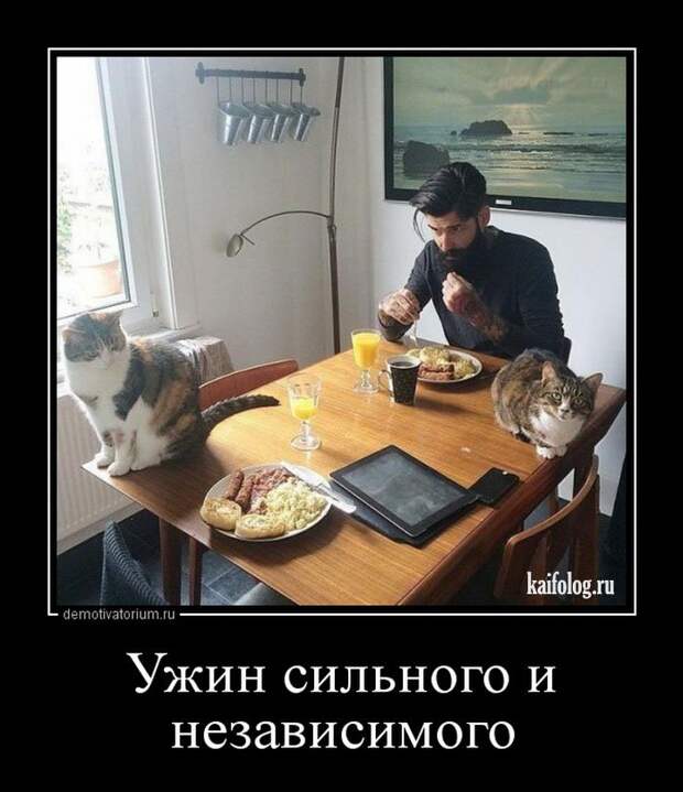 Прикольные демки недели - 286 (50 штук)
