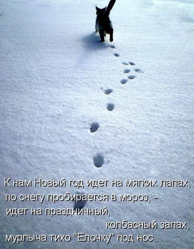 Мысли вслух - Ожидание Нового года