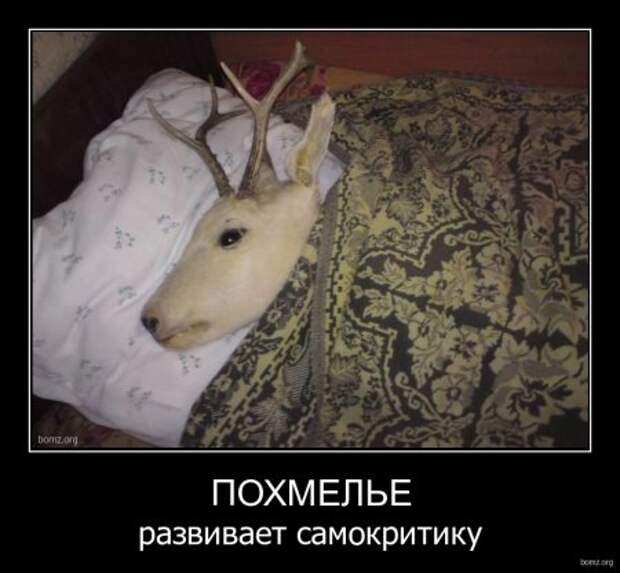 Демотиваторы, прикольные картинки, лучшие за неделю.
