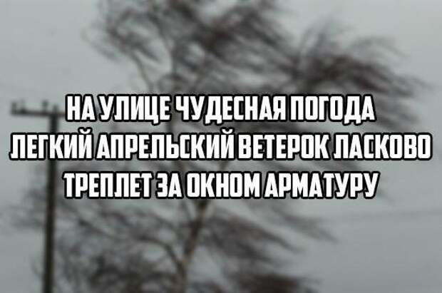 Удивительные цитаты