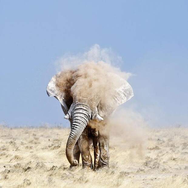 sony-world-photography-awards-2013 (10)