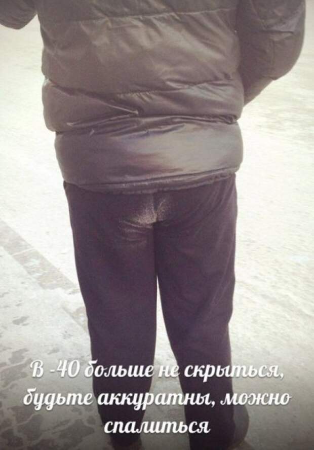 Поржачная солянка! #3