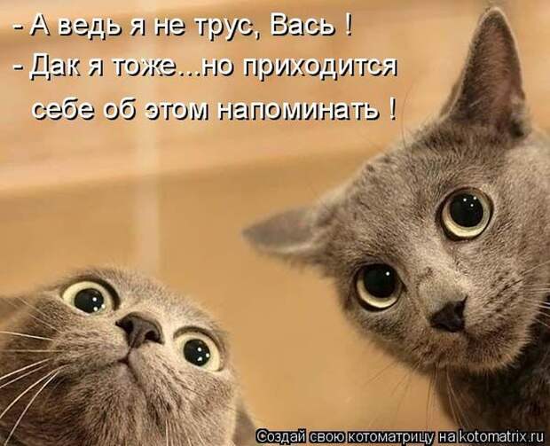 Мысли вслух :)