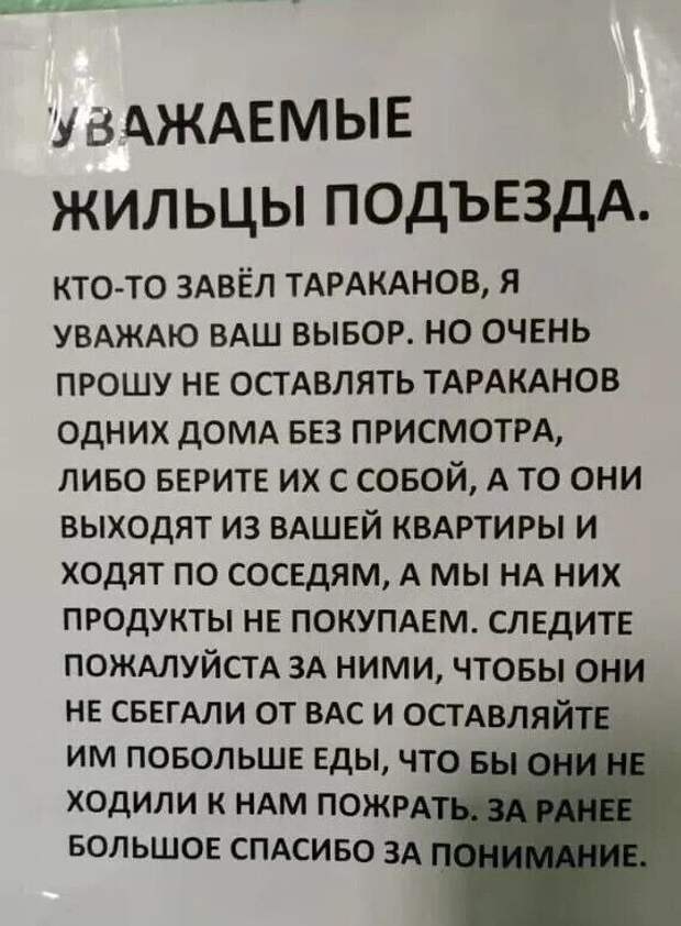 Донецкая группа новостей, Донецк ДНР